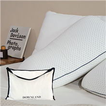英国DOWNLAND蜂巢乳胶枕头枕芯枕套Hive蜂巢Q弹乳胶枕60×40×13cm